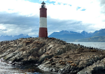 Half Day Beagle Channel Navigation,  Birds Island, Sea Wolves, Lighthouse and Trekking